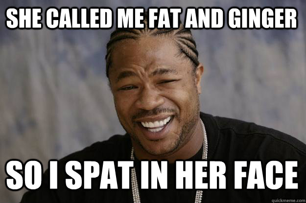 she called me fat and ginger so i spat in her face - she called me fat and ginger so i spat in her face  Xzibit meme