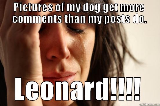 PICTURES OF MY DOG GET MORE COMMENTS THAN MY POSTS DO. LEONARD!!!! First World Problems