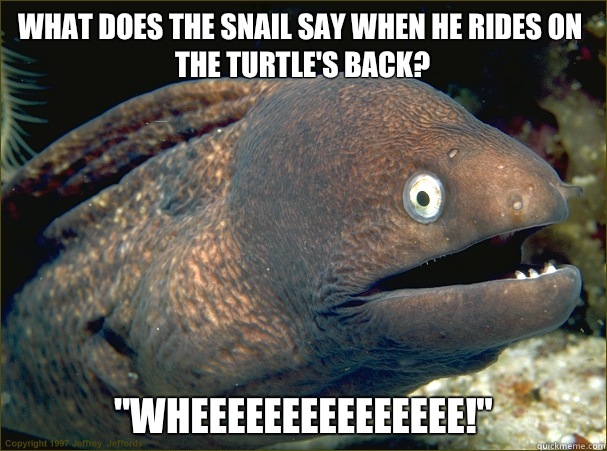 what does the snail say when he rides on the turtle's back? 