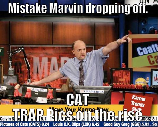 cat traps doe - MISTAKE MARVIN DROPPING OFF. CAT TRAP PICS ON THE RISE Mad Karma with Jim Cramer