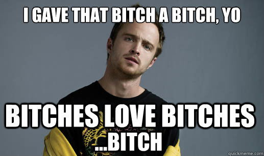 i gave that bitch a bitch, yo bitches love bitches ...bitch  Jesse Pinkman Loves the word Bitch