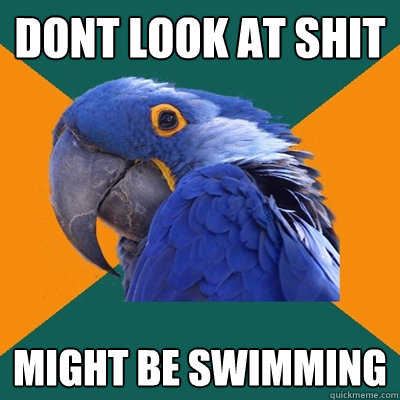 Dont Look at shit might be swimming  Paranoid Parrot