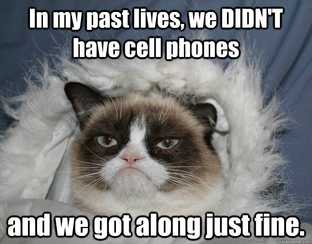 In my past lives, we DIDN'T have cell phones and we got along just fine.  