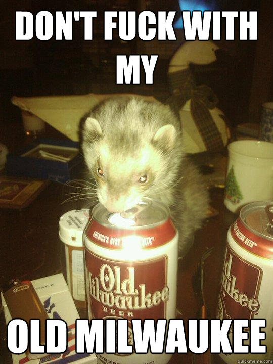 don't fuck with my old milwaukee - don't fuck with my old milwaukee  Old Milwaukee Ferret