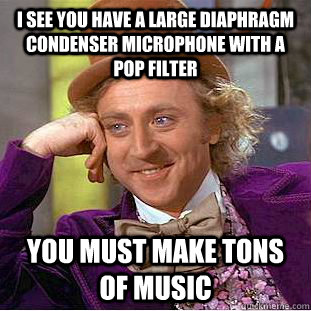 I see you have a large diaphragm condenser microphone with a pop filter you must make tons of music  Condescending Wonka