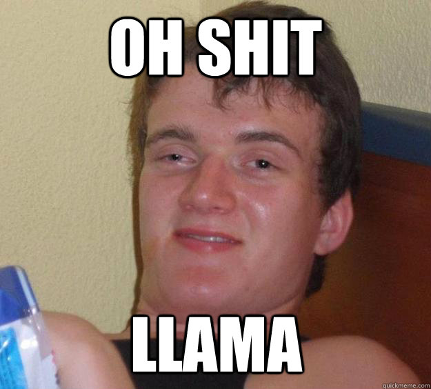 OH SHIT LLAMA  10 Guy