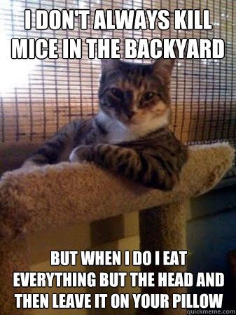 I don't always kill mice in the backyard but when i do i eat everything but the head and then leave it on your pillow  The Most Interesting Cat in the World