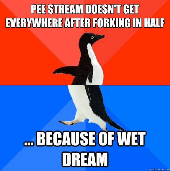 Pee stream doesn't get everywhere after forking in half ... because of wet dream  Socially Awesome Awkward Penguin