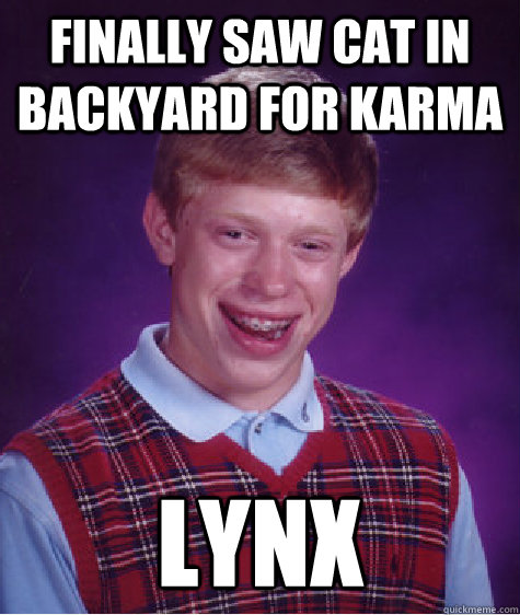 Finally saw cat in backyard for karma LYNX  Bad Luck Brian