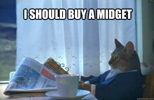 I should buy a midget  Sophisticated Cat