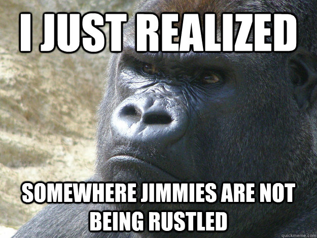 I Just realized somewhere jimmies are not being rustled - I Just realized somewhere jimmies are not being rustled  JIMMIES