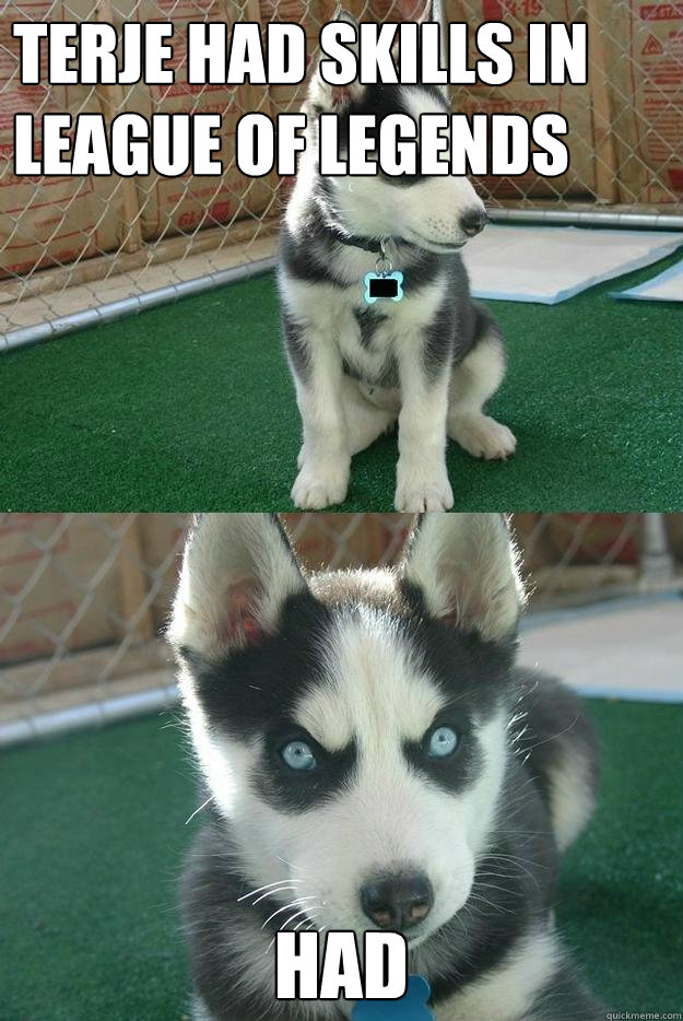 terje had skills in league of legends HAD  Insanity puppy