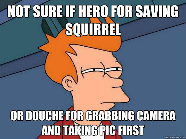 not sure if hero for saving squirrel or douche for grabbing camera and taking pic first  Futurama Fry