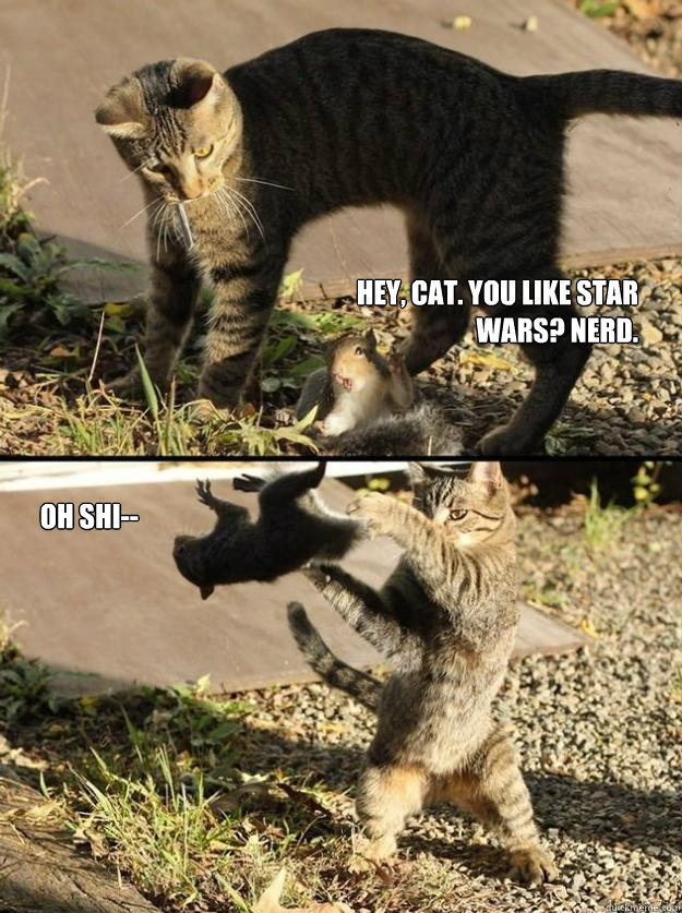 Hey, cat. You like Star Wars? Nerd. Oh Shi--  Annoying Squirrel