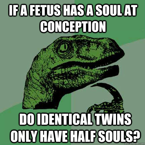 If a Fetus has a soul at conception Do identical twins only have half souls? - If a Fetus has a soul at conception Do identical twins only have half souls?  Misc