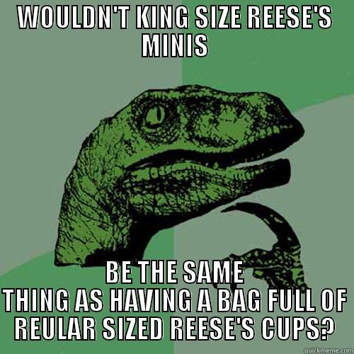 WOULDN'T KING SIZE REESE'S MINIS BE THE SAME THING AS HAVING A BAG FULL OF REULAR SIZED REESE'S CUPS? Philosoraptor