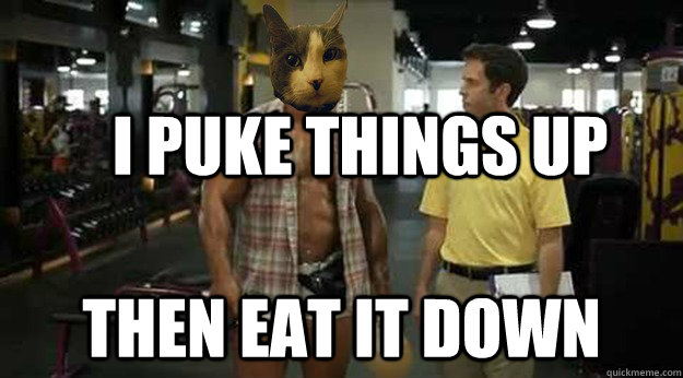 I puke things up Then eat it down - I puke things up Then eat it down  Ziggy the Fatass Cat