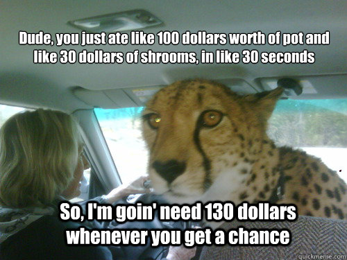 Dude, you just ate like 100 dollars worth of pot and like 30 dollars of shrooms, in like 30 seconds So, I'm goin' need 130 dollars whenever you get a chance  Chill Cheetah
