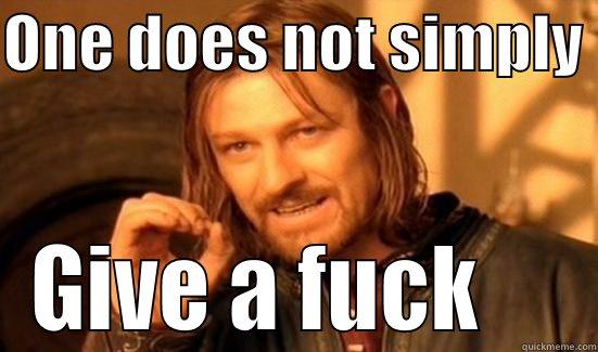 ONE DOES NOT SIMPLY  GIVE A FUCK     Boromir