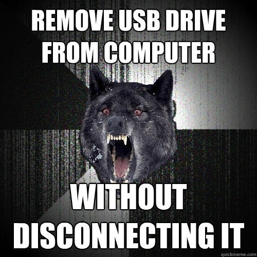Remove USB drive from computer without 
disconnecting it  Insanity Wolf