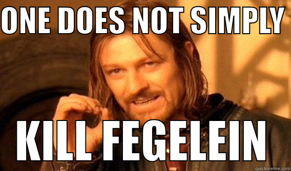 ONE DOES NOT SIMPLY  KILL FEGELEIN One Does Not Simply