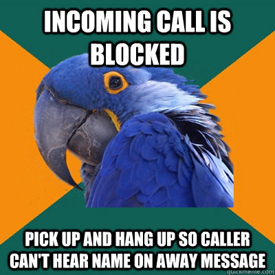 Incoming call is blocked Pick up and hang up so caller can't hear name on away message  Paranoid Parrot