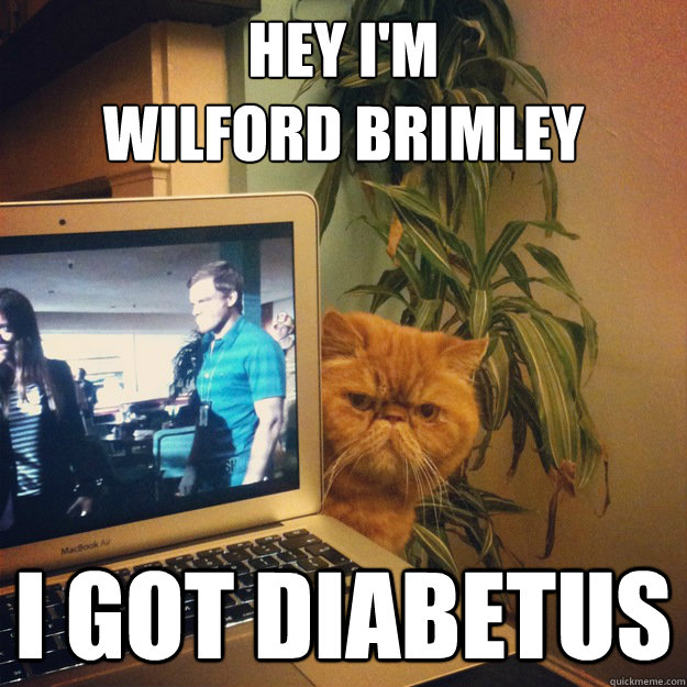 Hey I'm 
Wilford Brimley I got Diabetus - Hey I'm 
Wilford Brimley I got Diabetus  brimley cat
