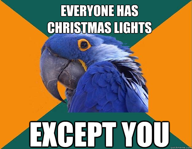 everyone has
Christmas lights except you   Paranoid Parrot