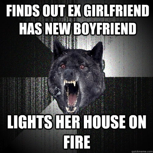 Finds out ex girlfriend has new boyfriend lights her house on fire  Insanity Wolf
