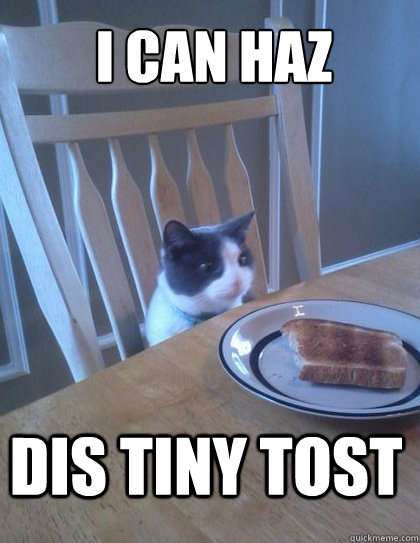 I can haz Dis tiny tost  