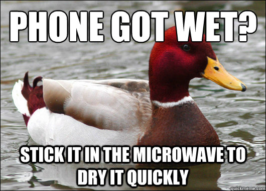 phone got wet?
 stick it in the microwave to dry it quickly - phone got wet?
 stick it in the microwave to dry it quickly  Malicious Advice Mallard