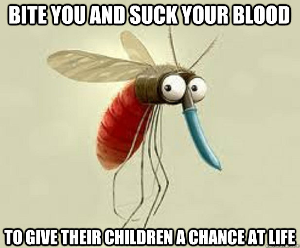 Bite you and suck your blood To give their children a chance at life  Misunderstood Mosquito