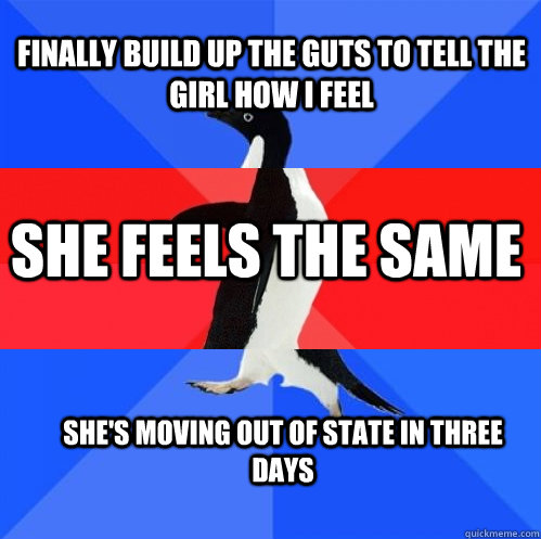 finally build up the guts to tell the girl how I feel She feels the same She's moving out of state in three days  Socially Awkward Awesome Awkward Penguin