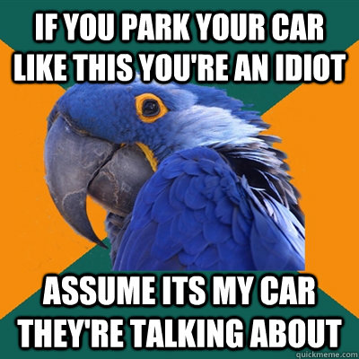 if you park your car like this you're an idiot assume its my car they're talking about  Paranoid Parrot