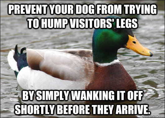 Prevent your dog from trying to hump visitors' legs  by simply wanking it off shortly before they arrive.  Actual Advice Mallard