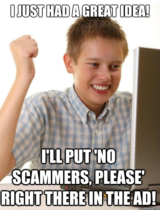 I JUST HAD A GREAT IDEA! I'LL PUT 'NO SCAMMERS, PLEASE' RIGHT THERE IN THE AD!  First Day on the Internet Kid