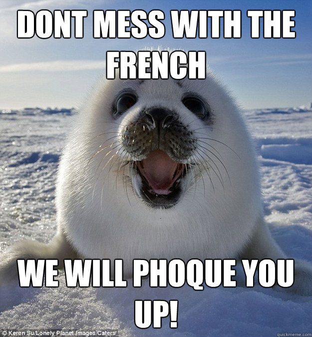 DONT MESS WITH THE FRENCH WE WILL PHOQUE YOU UP!  Easily Pleased Seal
