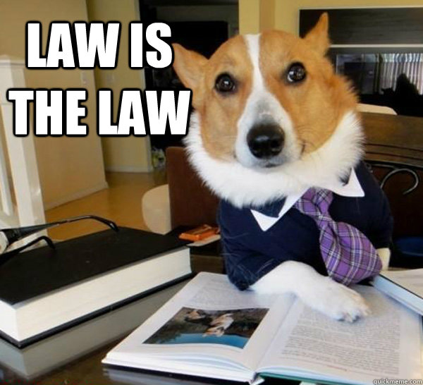 Law is the law  - Law is the law   Lawyer Dog