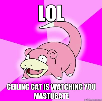 LOL ceiling cat is watching you mastubate  Slowpoke