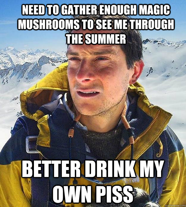 Need to gather enough magic mushrooms to see me through the summer Better drink my own piss  Best size bear grylls meme