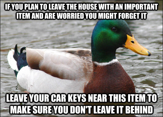 If you plan to leave the house with an important item and are worried you might forget it Leave your car keys near this item to make sure you don't leave it behind - If you plan to leave the house with an important item and are worried you might forget it Leave your car keys near this item to make sure you don't leave it behind  Actual Advice Mallard