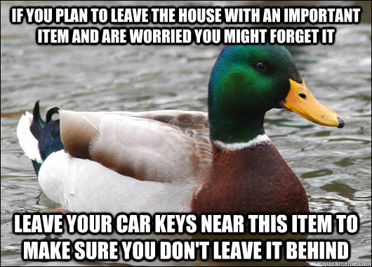 If you plan to leave the house with an important item and are worried you might forget it Leave your car keys near this item to make sure you don't leave it behind  Actual Advice Mallard