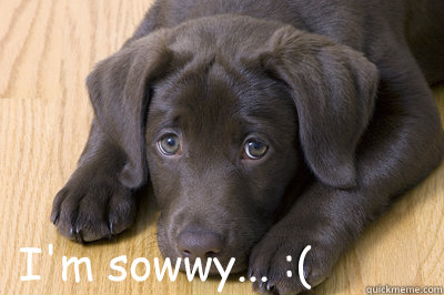 I'm sowwy... :(  Sad Puppy