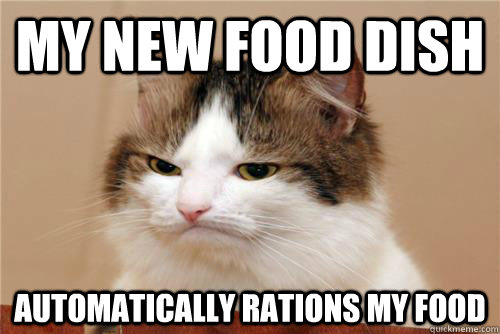 My new food dish automatically rations my food  Frustrated Cat