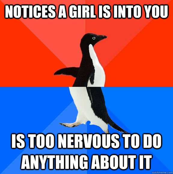 notices a girl is into you is too nervous to do anything about it  Socially Awesome Awkward Penguin
