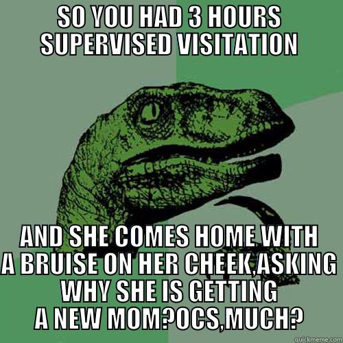 SNAKE IN THE GRASS - SO YOU HAD 3 HOURS SUPERVISED VISITATION AND SHE COMES HOME WITH A BRUISE ON HER CHEEK,ASKING WHY SHE IS GETTING A NEW MOM?OCS,MUCH? Philosoraptor