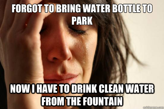 Forgot to bring water bottle to park Now I have to drink clean water from the fountain  First World Problems