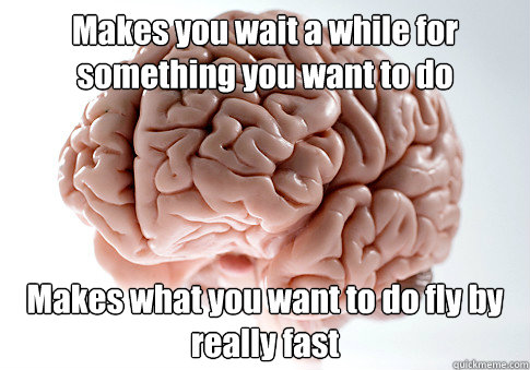 Makes you wait a while for something you want to do  Makes what you want to do fly by really fast   Scumbag Brain