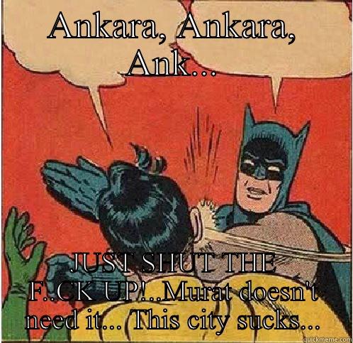 JUST SHUT THE F..CK UP!..MURAT DOESN'T NEED IT... THIS CITY SUCKS...  Batman Slapping Robin