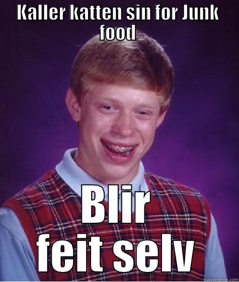 hahahha lol - KALLER KATTEN SIN FOR JUNK FOOD BLIR FEIT SELV Bad Luck Brian